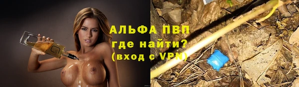 меф Арсеньев