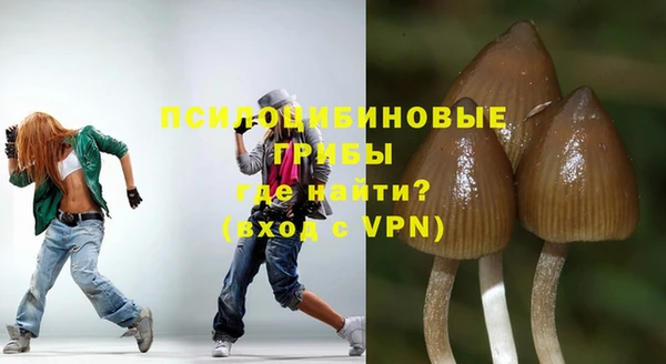 меф Арсеньев