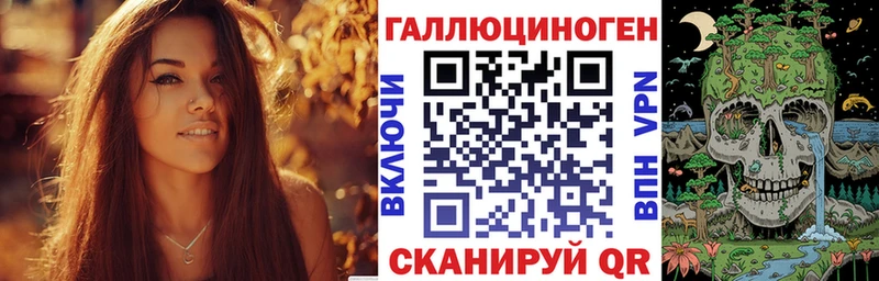 Псилоцибиновые грибы Psilocybe Брянск